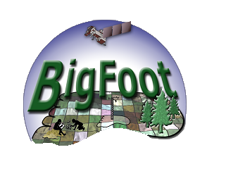 Icon of the BigFoot Project.