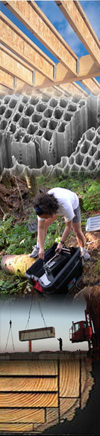 montage of images related to wood science