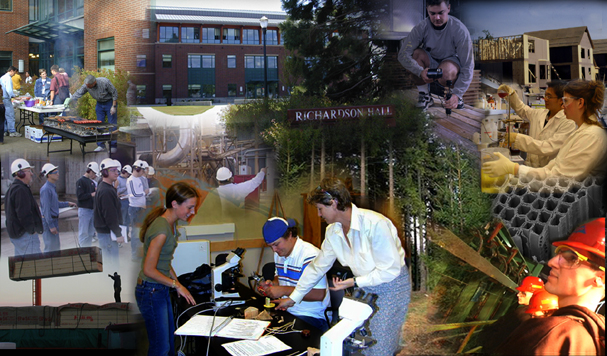 montage of images related to the department