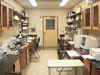 Stem Physiology and Microscopy Lab