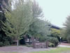 Peavy Hall
