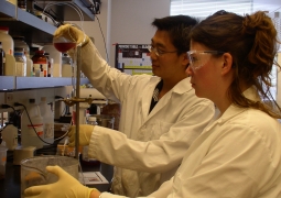 Lab Work