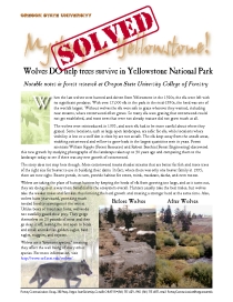 Mystery in Yellowstone Solved