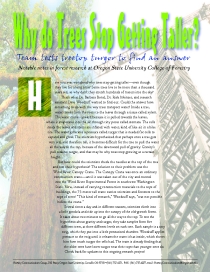 Why do Trees stop Getting Taller?