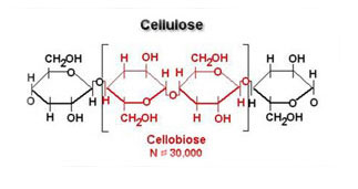 chemical structure of cellulose