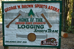 DSC_0021.JPG
