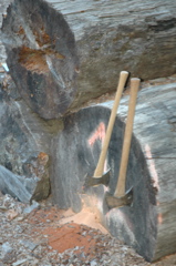 DSC_0019.JPG