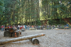 DSC_0016.JPG