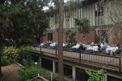 2011 Graduation 003